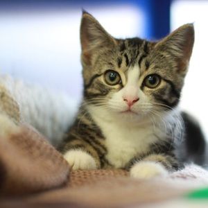 Meet your Posher, Jefna